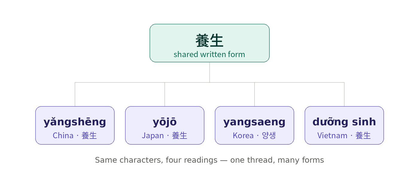 養生 (yǎngshēng) ja sen neljä itäaasialaista lukutapaa: kiinan yǎngshēng, japanin yōjō, korean yangsaeng ja vietnamin dưỡng sinh.